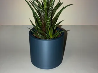 Small Flower and Succulent Pot "Classic Angular"