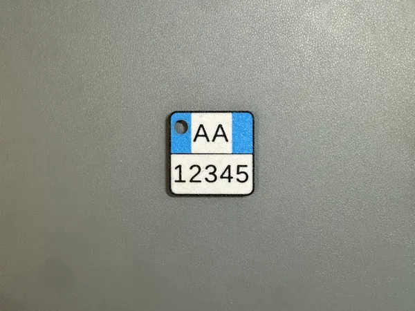 https://makerworld.bblmw.com/makerworld/model/US841d324135e146/design/2024-12-27_d1a8c1b580979.jpeg