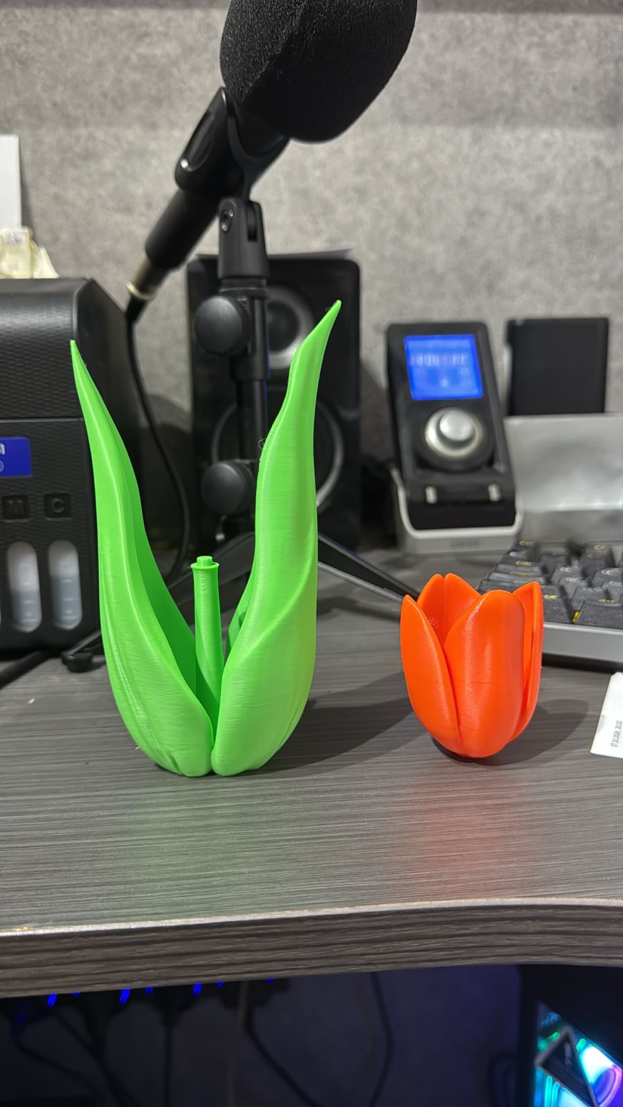 Miniatura 2 do modelo 3D Tulip