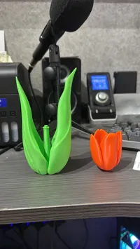 0.2mm layer, 2 walls, 15% infill Colour No AMS no SUPPORT