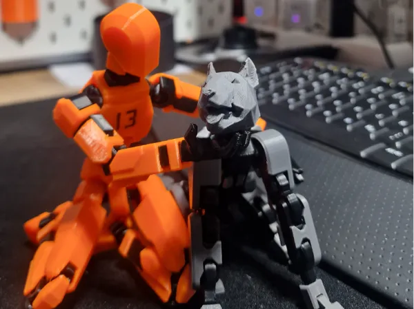 https://makerworld.bblmw.com/makerworld/model/US8422f0a5073935/design/2024-11-10_52d7d2bc8f2b7.jpg