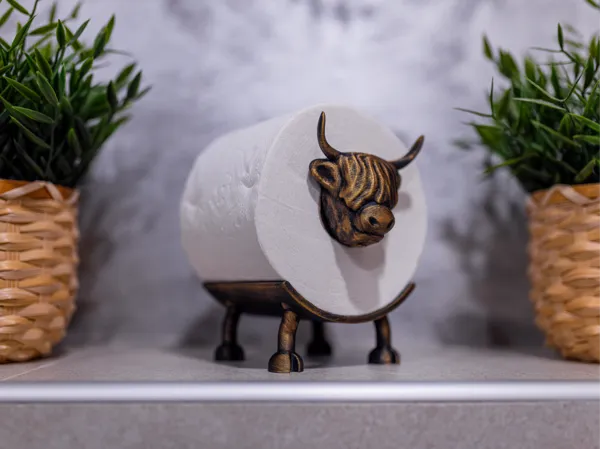 https://makerworld.bblmw.com/makerworld/model/US842685abe12054/design/2025-01-13_eb01355f2f356.jpg