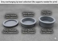 Shallow Bowl (5mm)