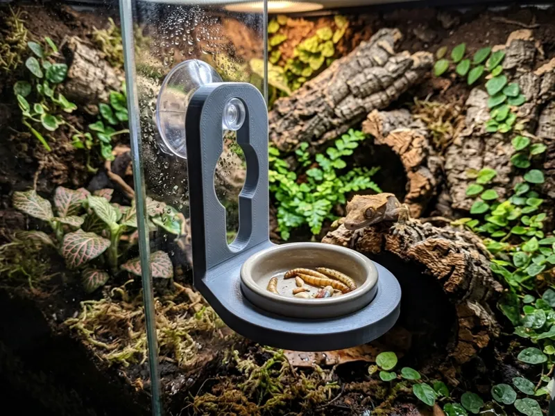 Gecko Feeding Station (Ledge + 3 Bowl Depths)