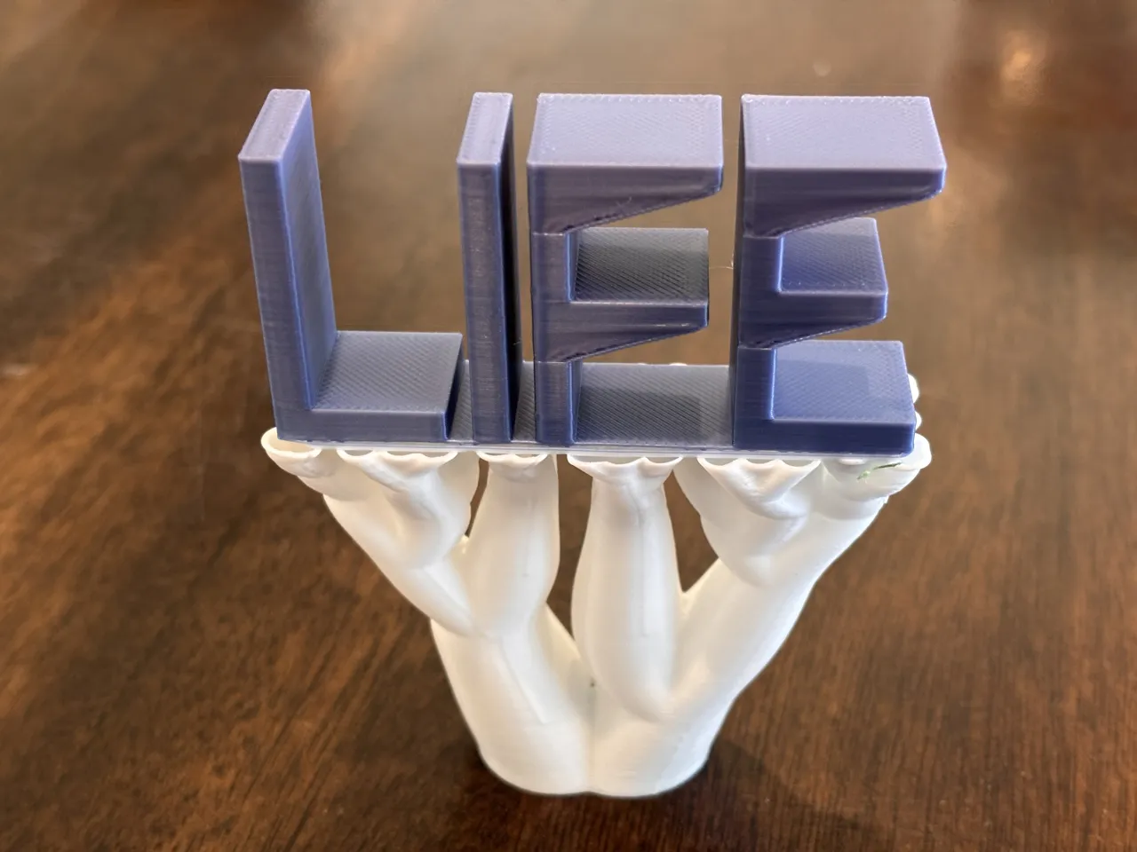 Life Support or Tree of Life view 2