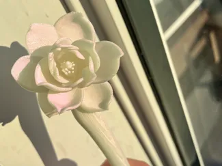 Chinese hair pin