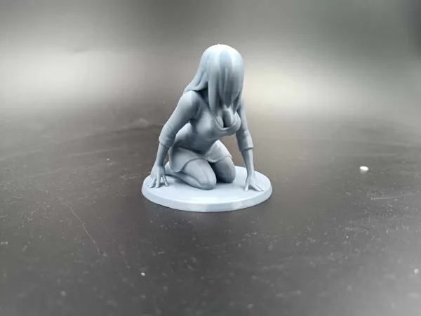 https://makerworld.bblmw.com/makerworld/model/US8429c207959c37/design/2025-05-19_a4191dfbe8c378.jpg