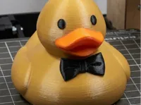 0.16mm layer, 2 walls, 15% infill