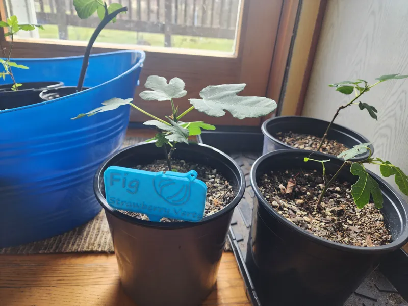 Plant Tags