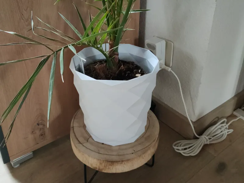Übertopf Pflanze