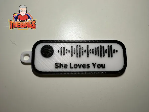 https://makerworld.bblmw.com/makerworld/model/US842f78311dcb8d/design/2024-11-27_2d9c02f78dee.jpeg