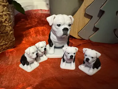 little puppy Old English Bulldog