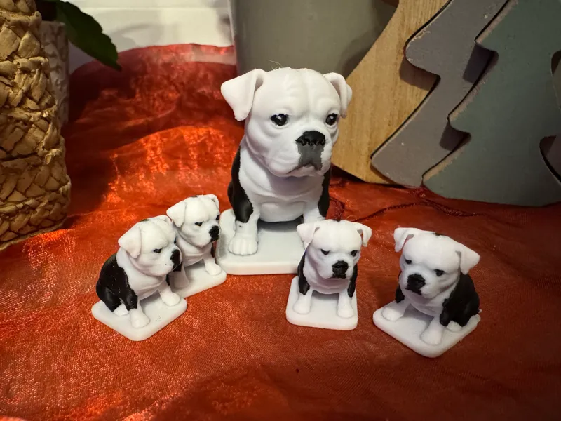 kleiner Hundewelpe Old english Bulldog