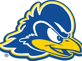 University of Delaware fighting Hens-fan art