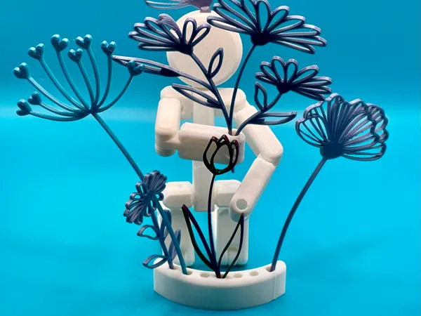 https://makerworld.bblmw.com/makerworld/model/US844069d83da8ec/design/2024-07-07_7349c768868e18.jpg