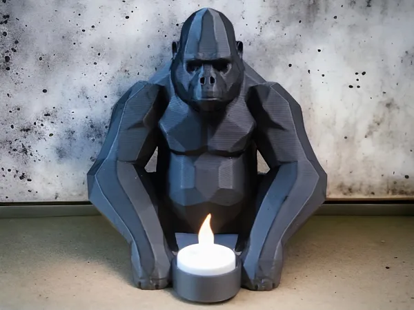 https://makerworld.bblmw.com/makerworld/model/US8442714daffafa/design/2025-02-16_14d9ecf3c51b3.png