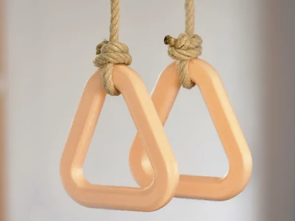 https://makerworld.bblmw.com/makerworld/model/US8448710dca4f2/design/2025-07-20_bef03bb4a0f588.jpg