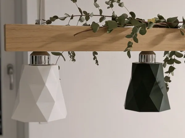 https://makerworld.bblmw.com/makerworld/model/US844b933f5303ae/design/2026-01-21_1b0a2666baeb48.jpg
