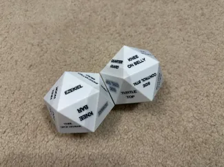 d20 Jiu Jitsu Dice