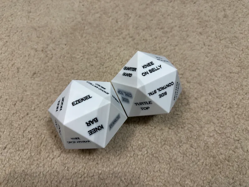 d20 Jiu Jitsu Dice