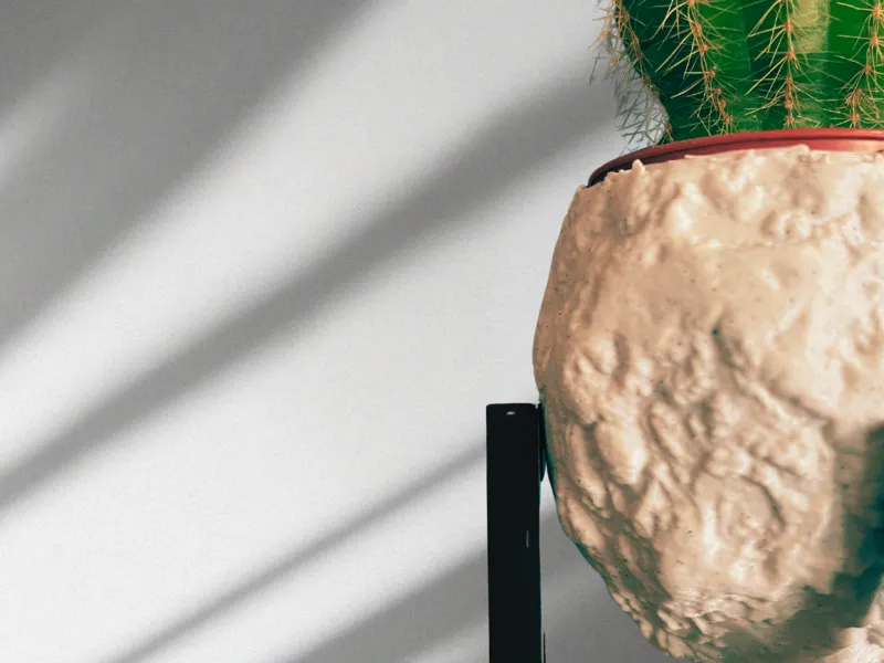 Textured Succulent Vase