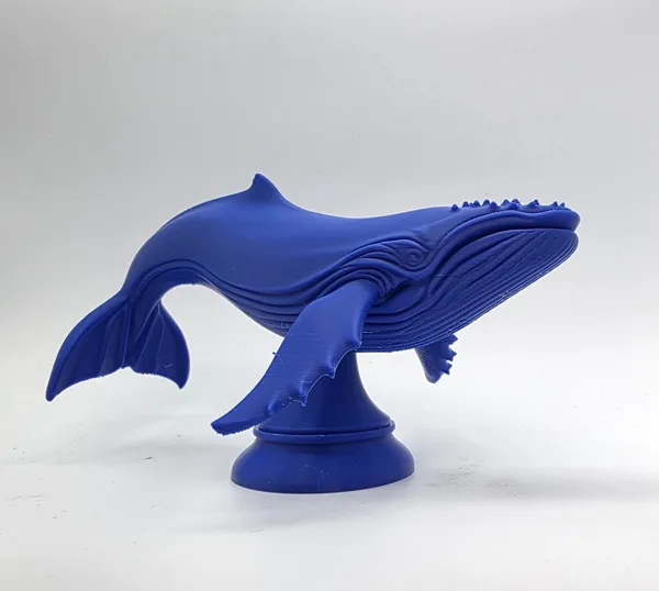 https://makerworld.bblmw.com/makerworld/model/US8455c4a064d72f/design/2026-01-21_khp9madvwddz.jpg