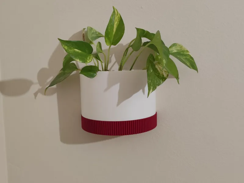 Wall mounted pot
