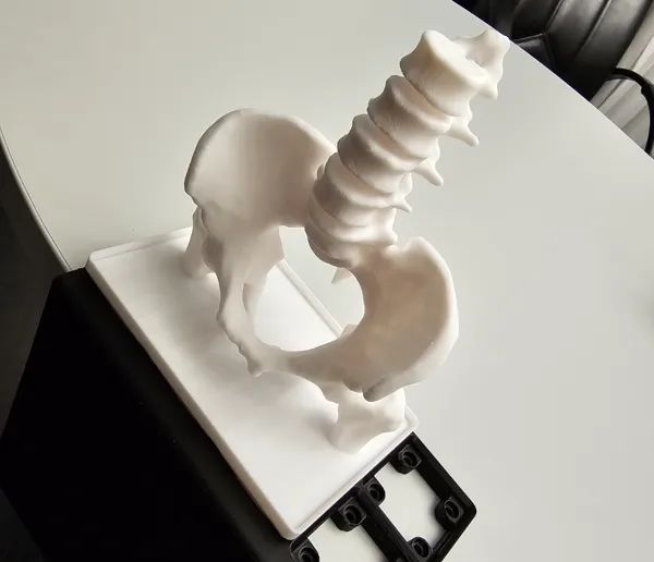 https://makerworld.bblmw.com/makerworld/model/US845f847b52da31/design/2024-07-05_9ed9bb64b6f75.jpg