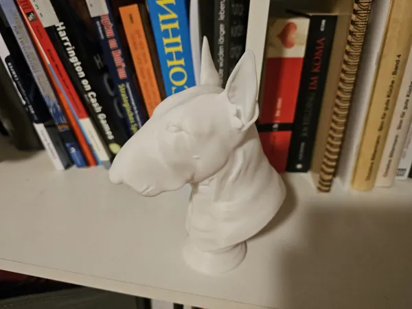 https://makerworld.bblmw.com/makerworld/model/US84674d098ee055/design/2025-04-07_e0f6ecf29d55c.jpg
