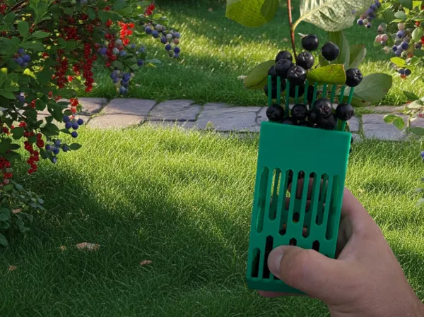 https://makerworld.bblmw.com/makerworld/model/US846fcf63c611f1/design/2025-08-07_776eb64b917be.png