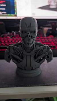 Buste Terminator v2 — photo 6
