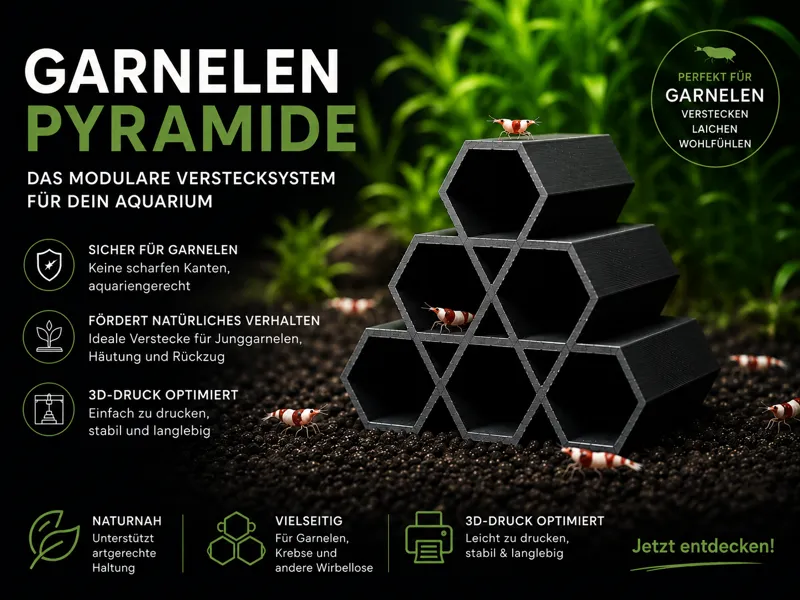 Garnelen Pyramide – Hexagonale Shrimp Cave