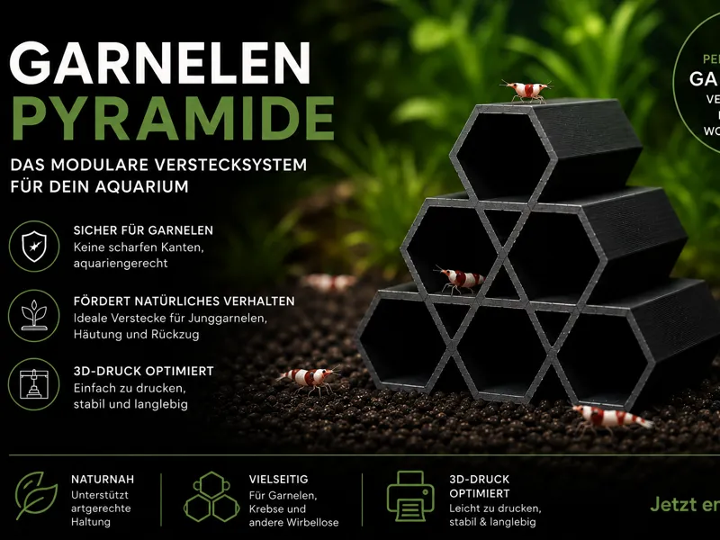 Garnelen Pyramide – Hexagonale Shrimp Cave
