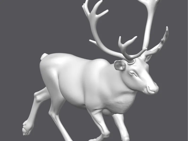 Reindeer