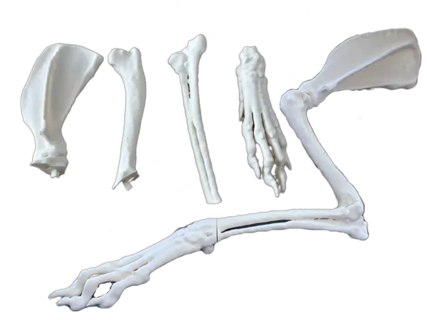 https://makerworld.bblmw.com/makerworld/model/US847a20775a1e7e/design/b79b62d4e77ad239.png