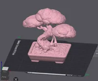 0.15mm layer, 2 walls, 3% infill