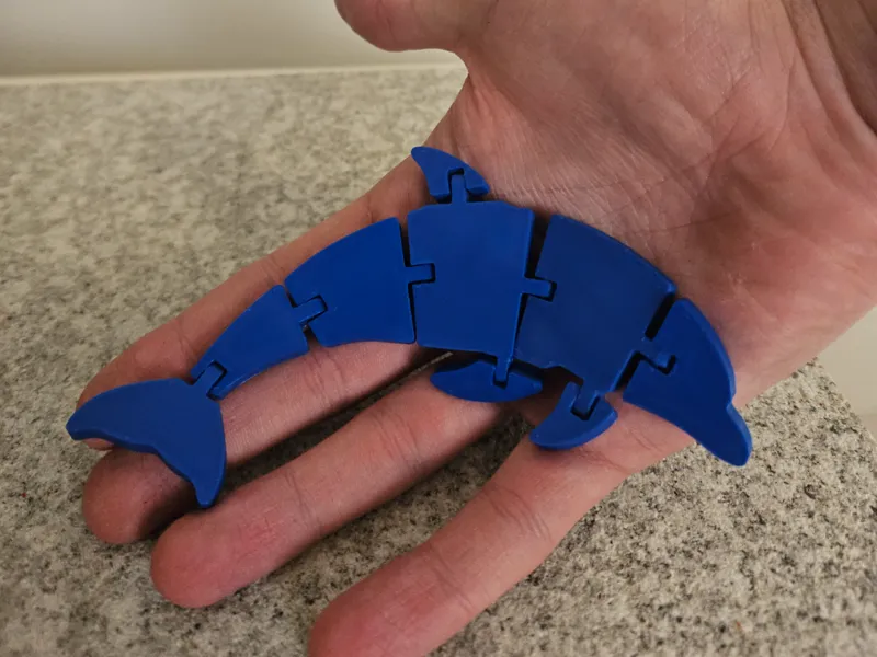 Articulated Dolphin