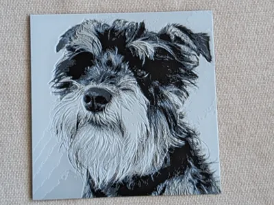 Schnauzer dog hueforge
