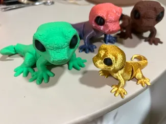 Gecko Bonito Flexi  