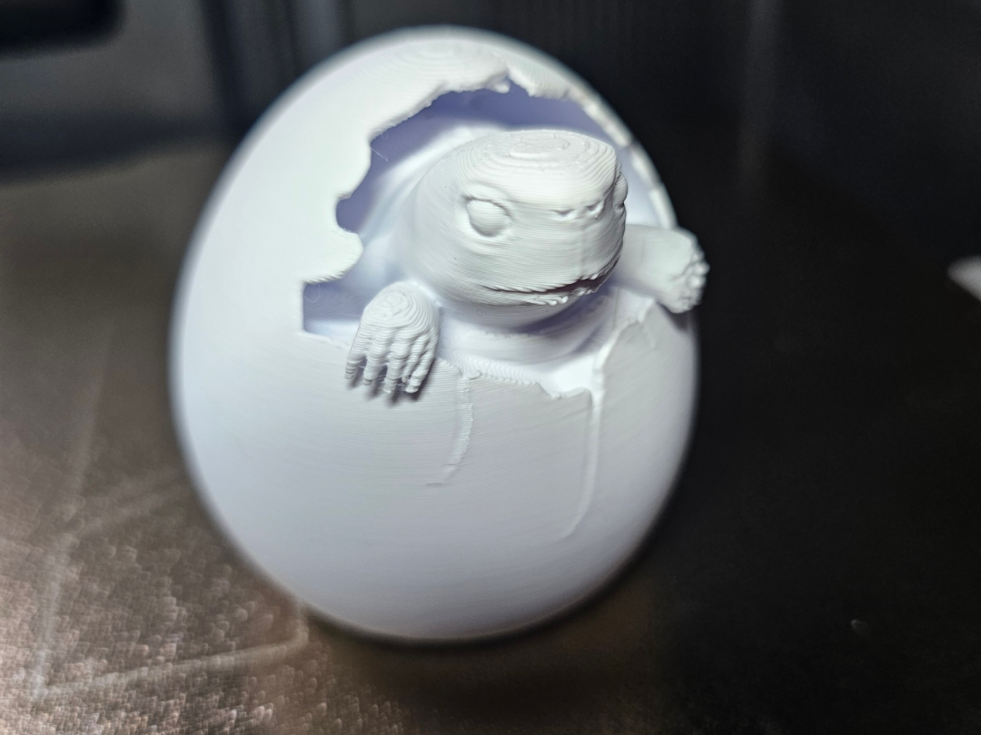 Turtle Egg – Baby Turtle Hatching
