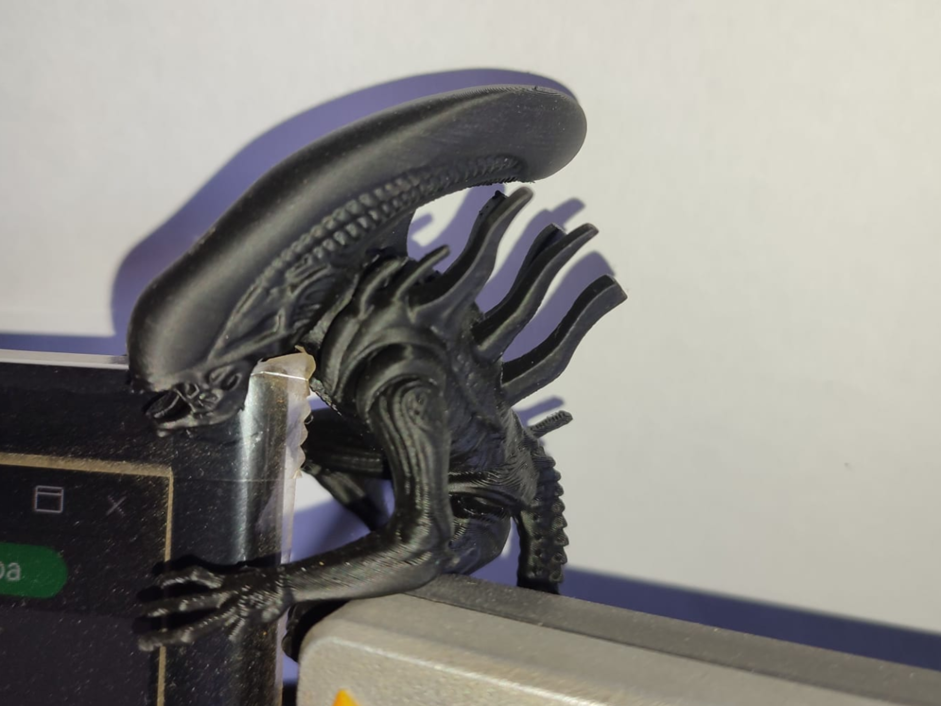 Alien che spia lo schermo del pc