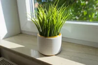 PLA - Dual Color .12mm