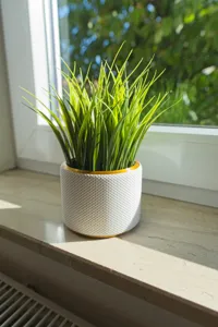 PLA - Dual Color .2mm