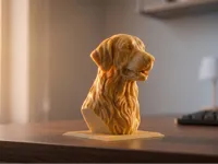 0.16mm layer, 3 walls, 15% infill