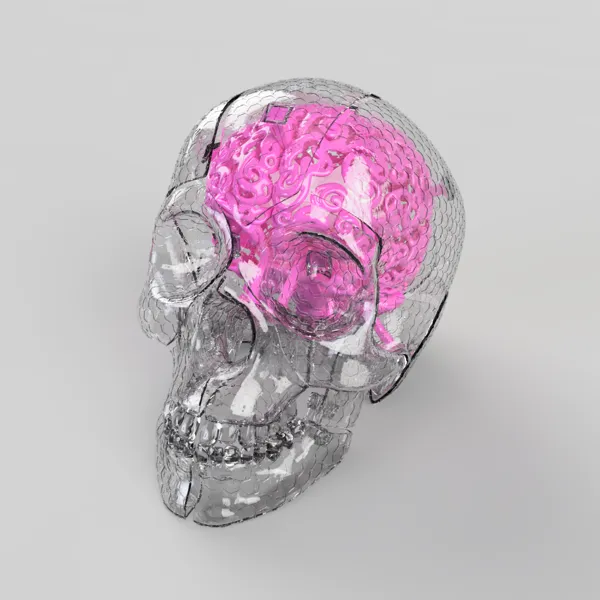 Crâne futuriste avec cerveau (pièce de remix)
