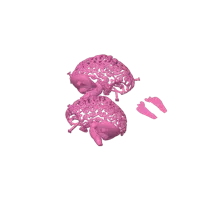 Crâne futuriste avec cerveau (pièce de remix) — photo 3