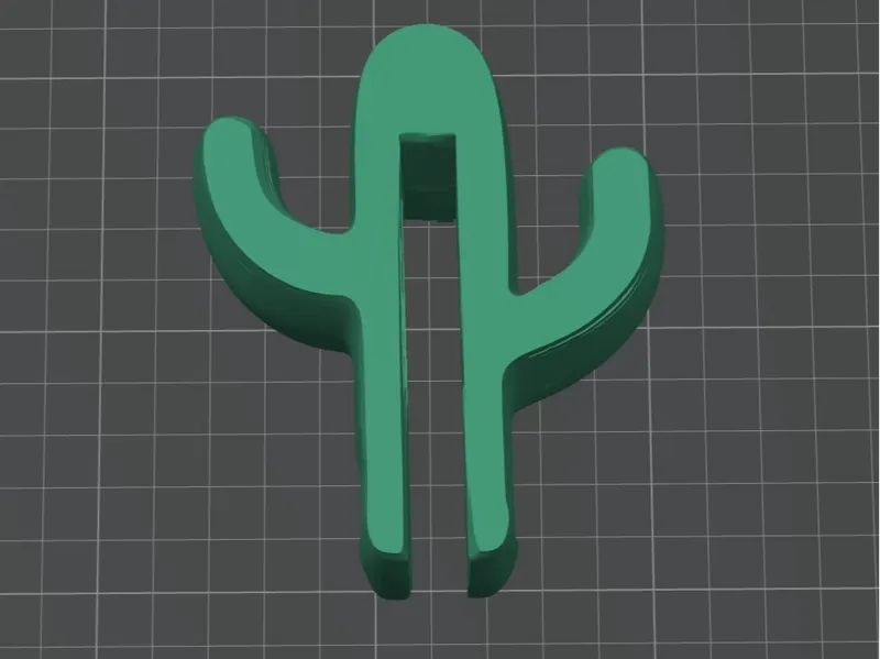 Cactus Shower Hook - Porta Axccapatoio e spugna