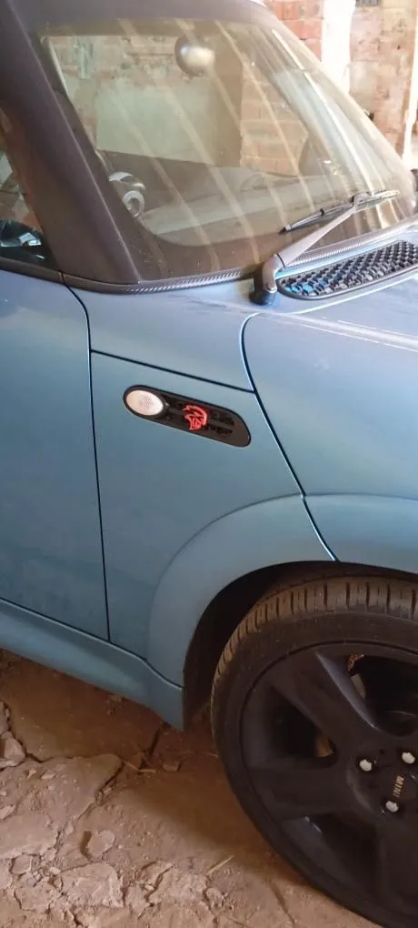 SIDE SHIELDS MINI COOPER S R50/R51/R52/R53