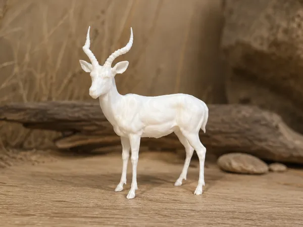 https://makerworld.bblmw.com/makerworld/model/US84bdd72e3393b9/design/c6ffa1aac3e00d02.png