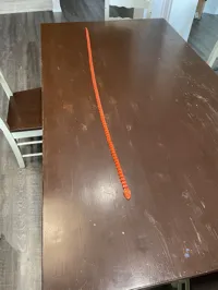 Serpent articulé Longboi — photo 5